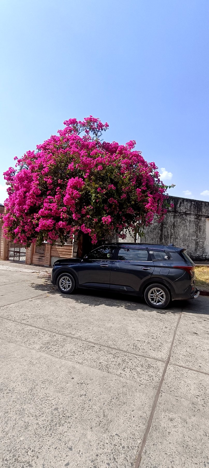 A private tour car with driver, ready in Jaipur