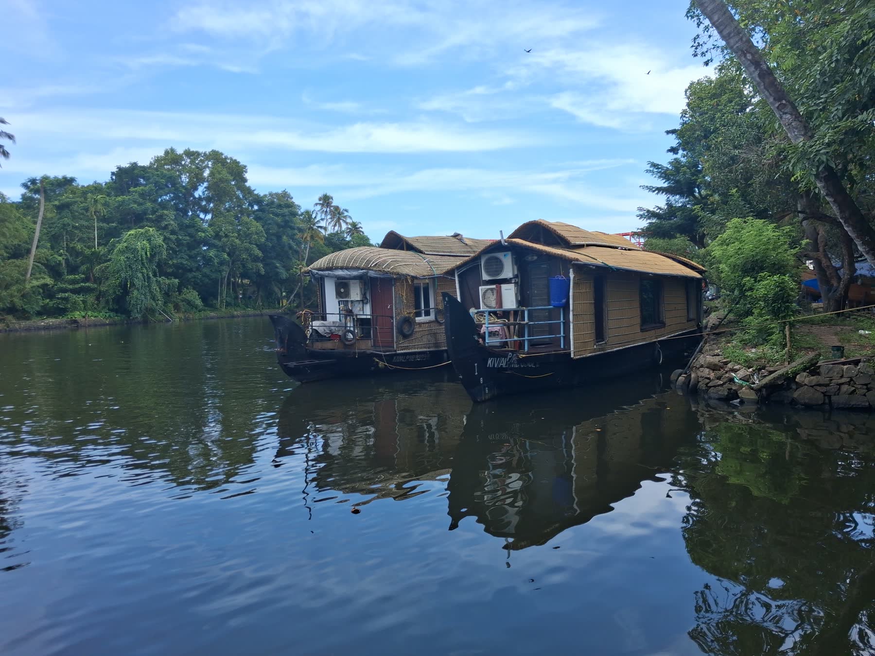 Houseboats moored on the Alleppey backwaters