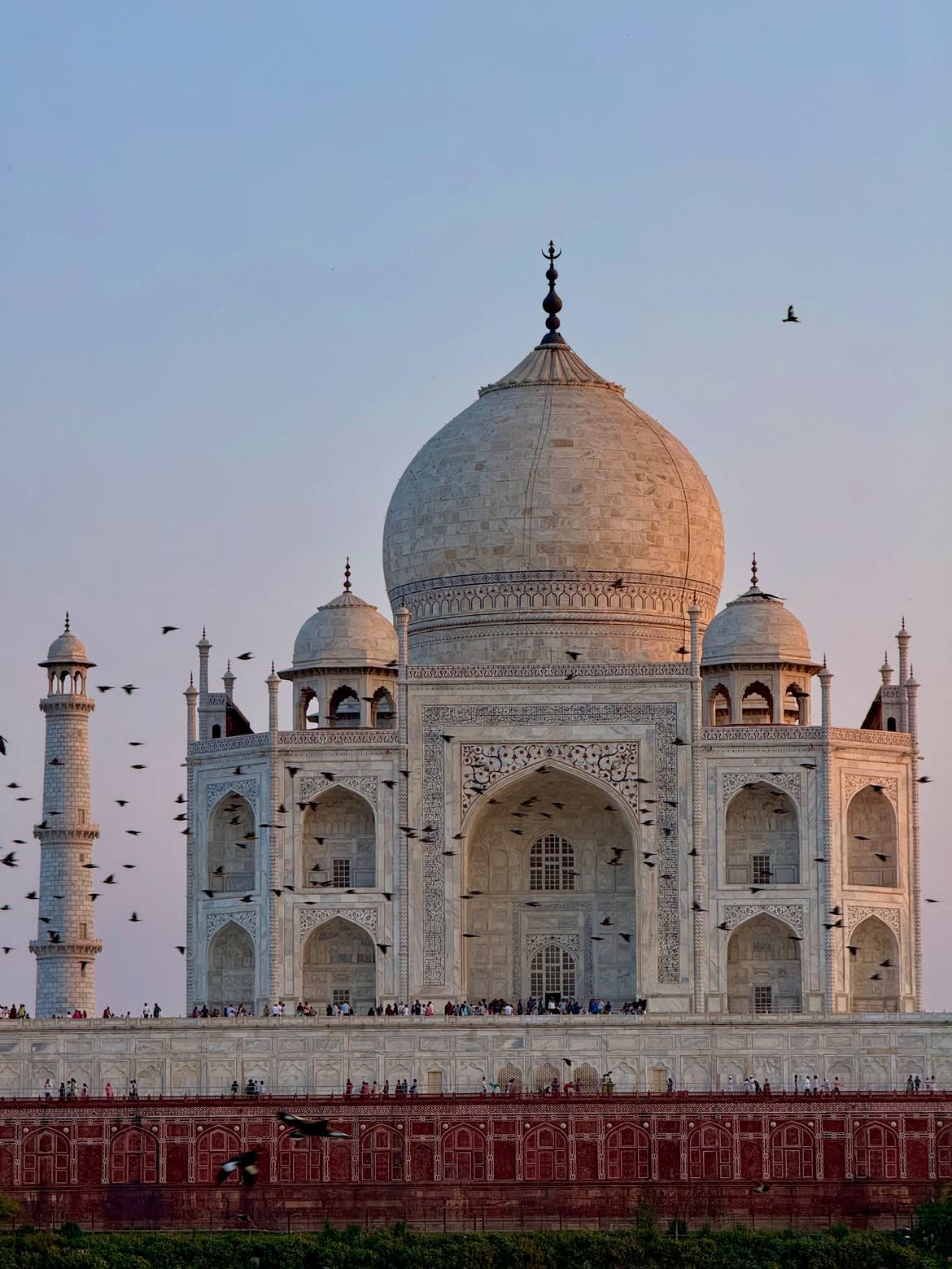 The Taj Mahal at dusk, birds circling — photographed by Lucky