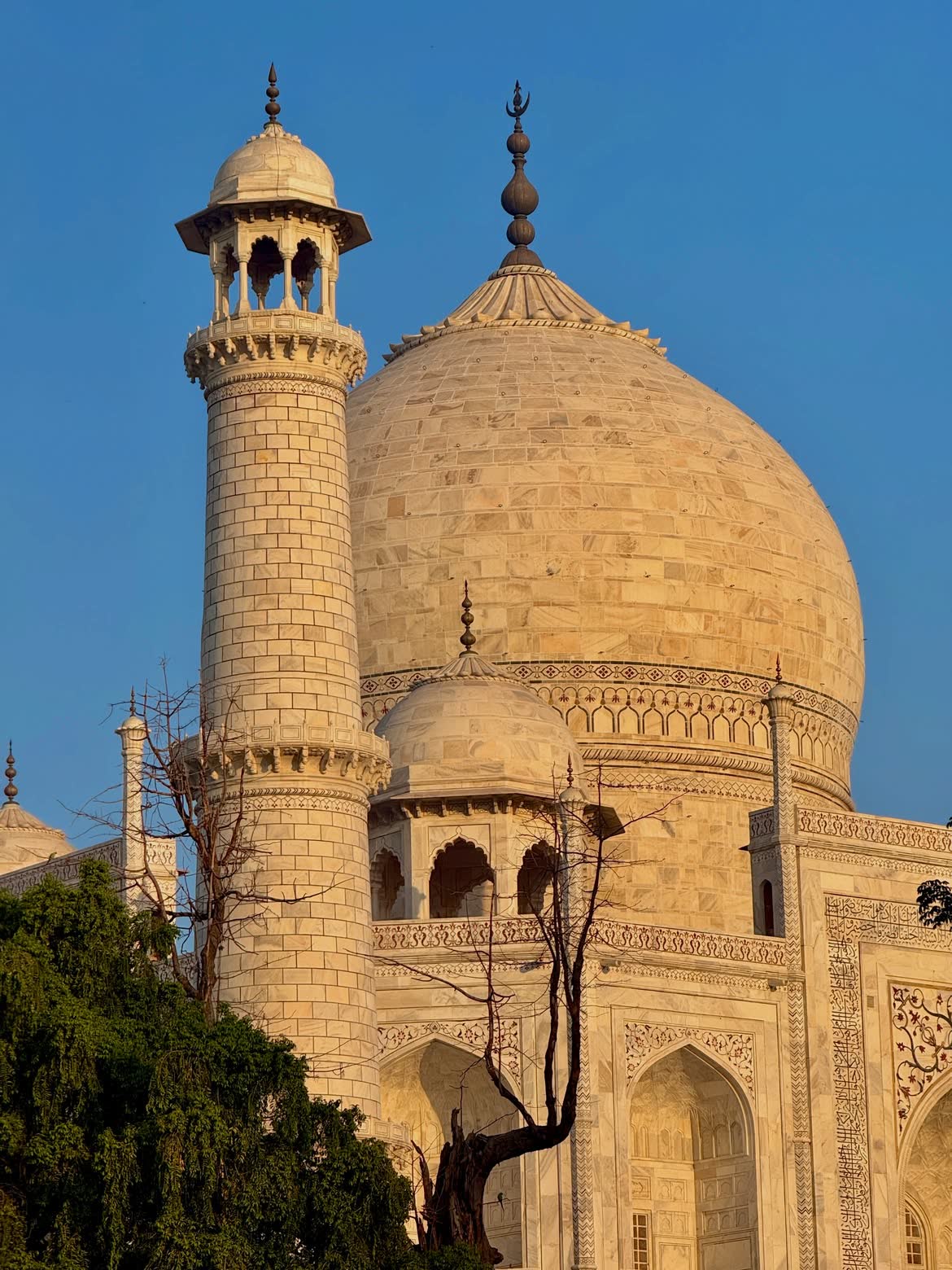 The Taj Mahal dome and minaret in golden light