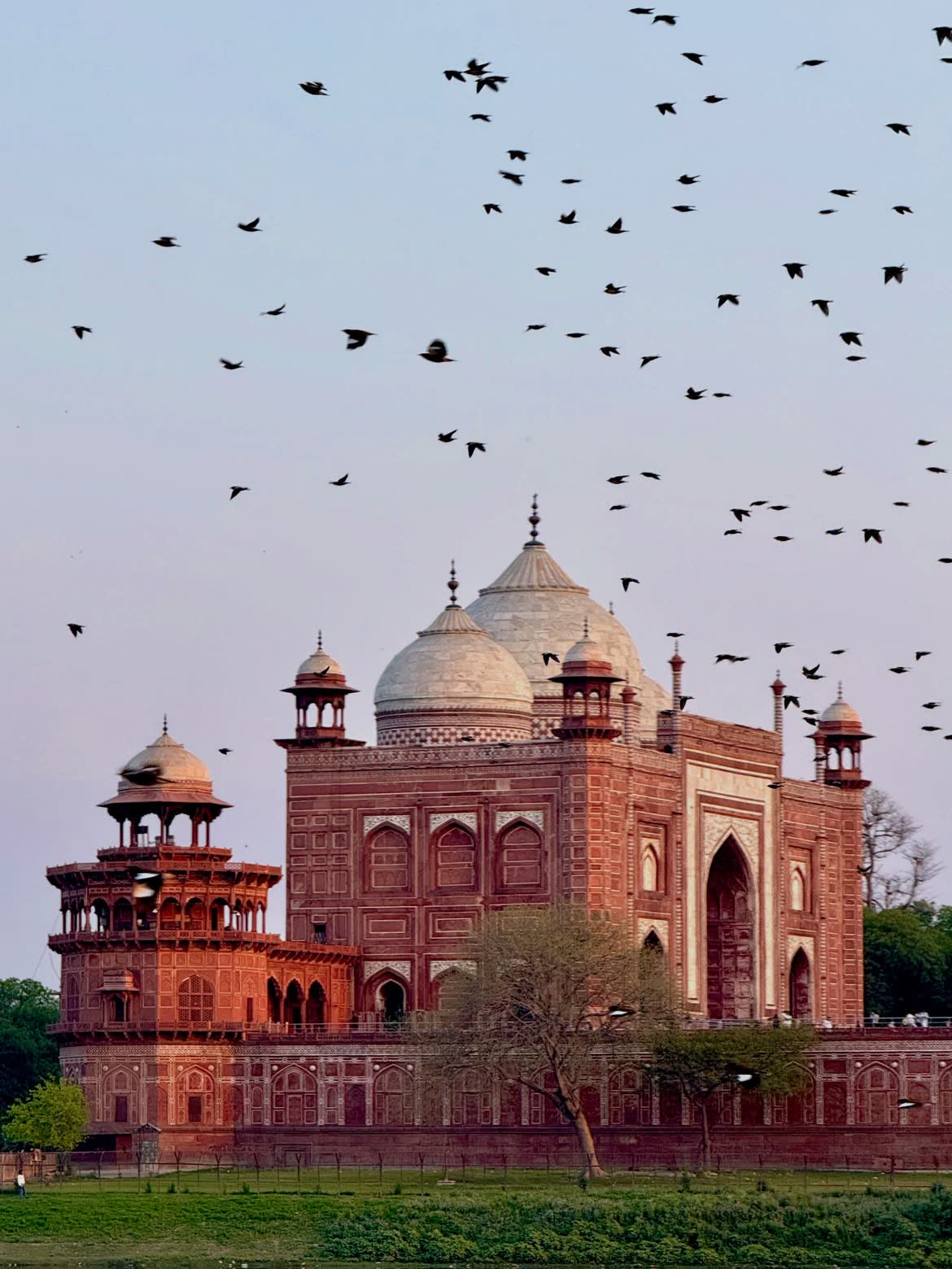 Birds over the Great Gate of the Taj at dusk
